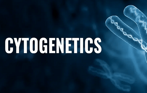 Cytogenetic course and karyotype determination