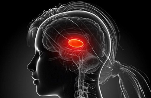 Cerebrospinal sensory-motor test